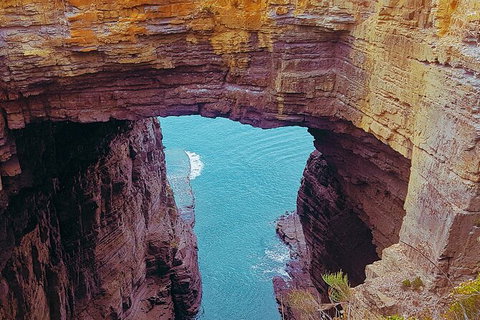 4-Day Fabulous Tasmania Tour: Wineglass Bay, Port Arthur, Devils & Bruny Island - Accommodation Newcastle 6