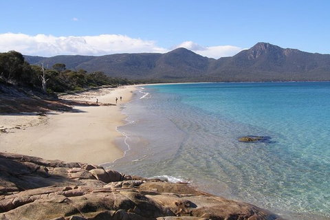 4-Day Fabulous Tasmania Tour: Wineglass Bay, Port Arthur, Devils & Bruny Island - Accommodation Newcastle 10