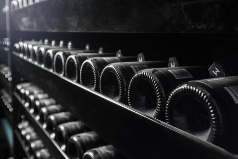 Private Winery Tour And Tasting In Moorilla And Mona Museum - Accommodation Newcastle 3
