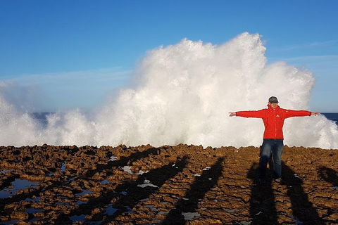 Ride Tours, 2 Day Great Ocean Road Experience - Accommodation Newcastle 1