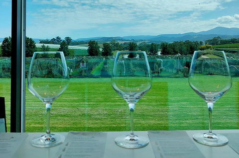 Yarra Valley Cellar Door And Gin Day - Accommodation Newcastle 2