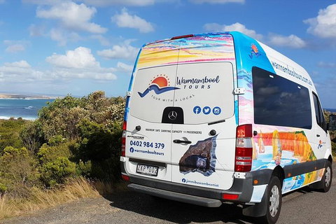 Shipwreck Coast Tour From Warrnambool - Accommodation Newcastle 2