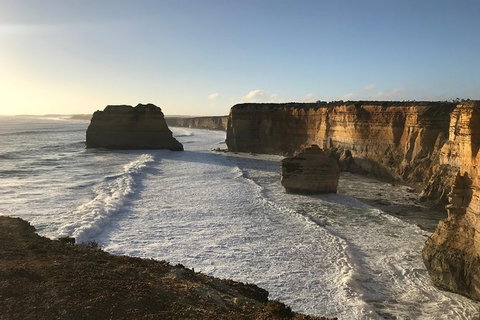 Shipwreck Coast Tour From Warrnambool - Accommodation Newcastle 4