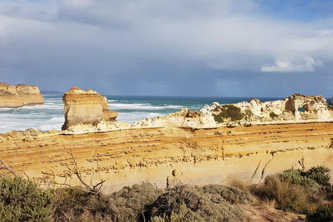 Shipwreck Coast Tour From Warrnambool - Accommodation Newcastle 3