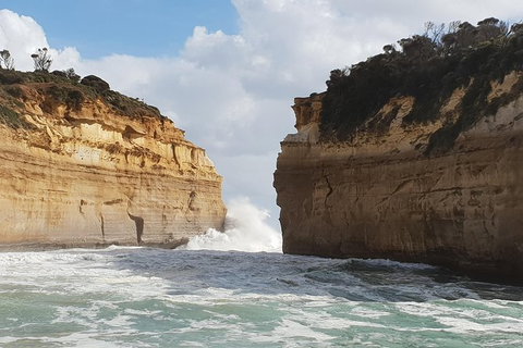 Shipwreck Coast Tour From Warrnambool - Accommodation Newcastle 1