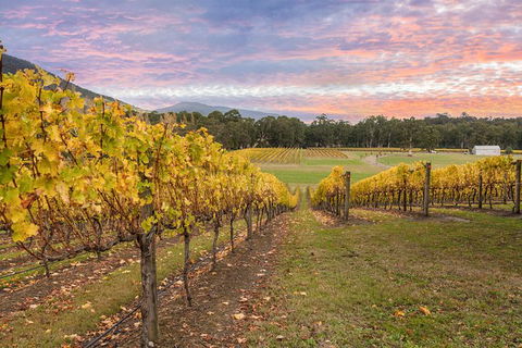 Yarra Valley Boutique Winery Tour From Melbourne - Accommodation Newcastle 0