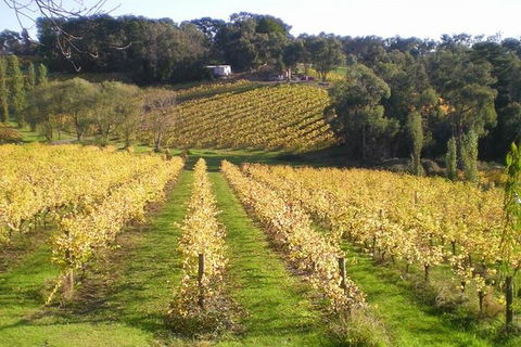 Macedon Ranges Winery Tour From Melbourne - Accommodation Newcastle 1