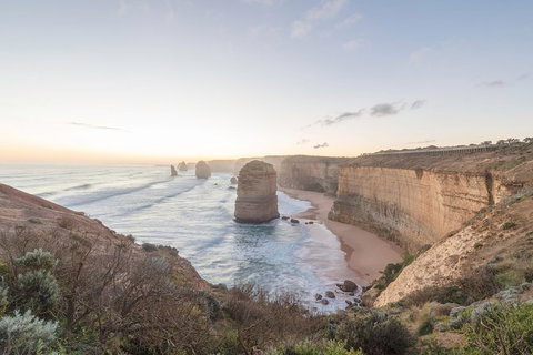 PRIVATE Great Ocean Road Tour And 12 Apostles With Wildlife Spotting - Accommodation Newcastle 0