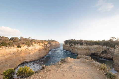 PRIVATE Great Ocean Road Tour And 12 Apostles With Wildlife Spotting - Accommodation Newcastle 1