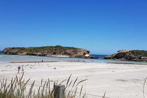 Warrnambool Wanderer Tour - Accommodation Newcastle 1