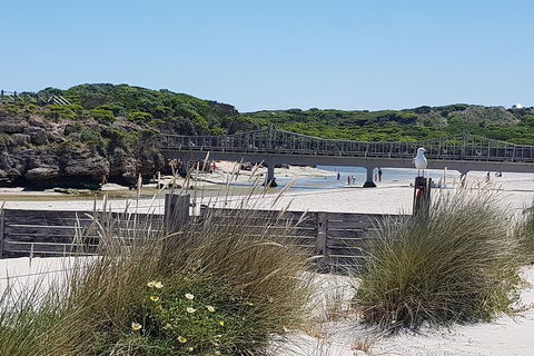 Warrnambool Wanderer Tour - Accommodation Newcastle 3