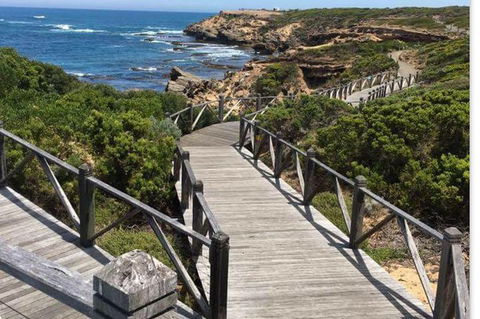 Warrnambool Wanderer Tour - Accommodation Newcastle 0