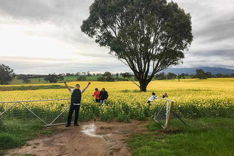 Grampians - Private Tour - Accommodation Newcastle 3