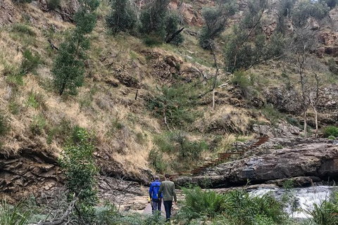 Grampians - Private Tour - Accommodation Newcastle 4