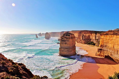 LGBT+ Friendly 12-Hour Great Ocean Road Private Tour - Accommodation Newcastle 5