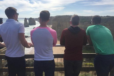 LGBT+ Friendly 12-Hour Great Ocean Road Private Tour - Accommodation Newcastle 0
