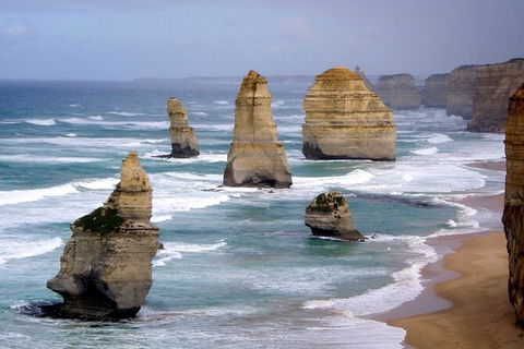LGBT+ Friendly 2 Day Private Tour Great Ocean Road + Phillip Island - Accommodation Newcastle 0