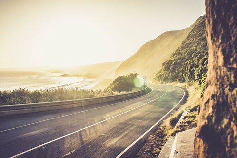 LGBT+ Friendly 2 Day Private Tour Great Ocean Road + Phillip Island - Accommodation Newcastle 3