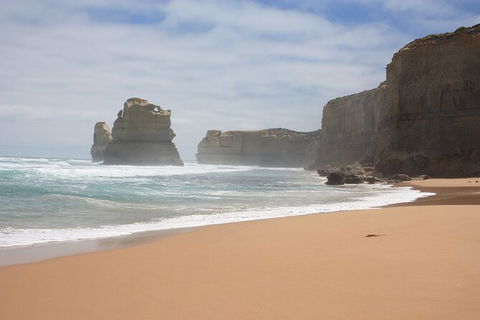LGBT+ Friendly 3 Day Private Tour Great Ocean Road + Phillip Island - Accommodation Newcastle 0