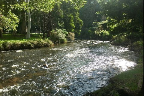 Watertube Experience In Yarra River - Accommodation Newcastle 3