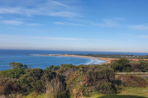 Private Great Ocean Road And Chocolaterie Tour With Tasting - Accommodation Newcastle 5