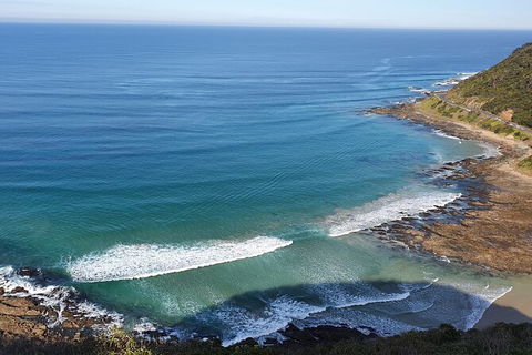 Private Great Ocean Road And Chocolaterie Tour With Tasting - Accommodation Newcastle 7