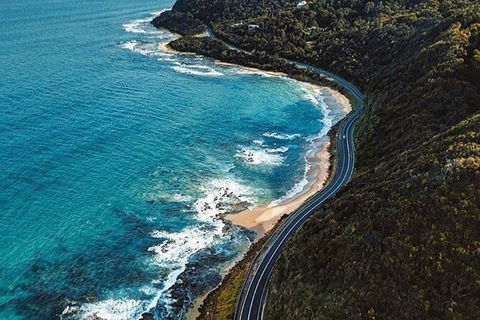 Private Great Ocean Road And Chocolaterie Tour With Tasting - Accommodation Newcastle 6