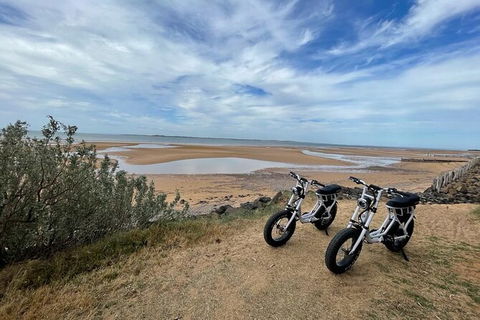 E-Bike Hire Super Cruzer In Phillip Island - Accommodation Newcastle 3