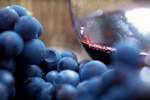 Mornington Peninsula Premium 2-6 Guests Lunch At Merricks General Wine Store - Accommodation Newcastle 7