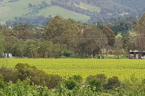 Day Tour Of Yarra Valley Puffing Billy And Rayners Orchard - Accommodation Newcastle 44