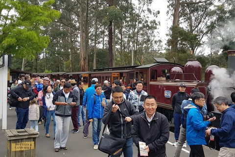 Day Tour Of Yarra Valley Puffing Billy And Rayners Orchard - Accommodation Newcastle 3
