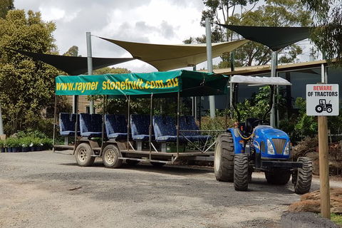 Day Tour Of Yarra Valley Puffing Billy And Rayners Orchard - Accommodation Newcastle 17