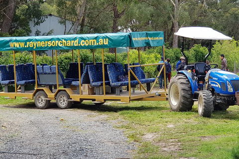 Day Tour Of Yarra Valley Puffing Billy And Rayners Orchard - Accommodation Newcastle 48
