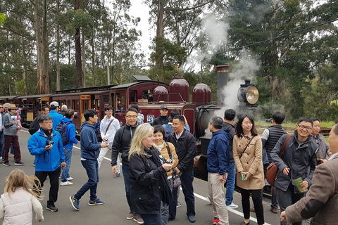 Day Tour Of Yarra Valley Puffing Billy And Rayners Orchard - Accommodation Newcastle 18