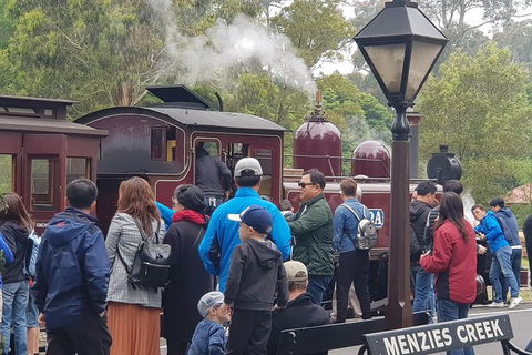 Day Tour Of Yarra Valley Puffing Billy And Rayners Orchard - Accommodation Newcastle 40