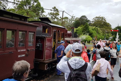 Day Tour Of Yarra Valley Puffing Billy And Rayners Orchard - Accommodation Newcastle 23
