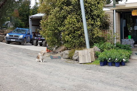 Day Tour Of Yarra Valley Puffing Billy And Rayners Orchard - Accommodation Newcastle 6
