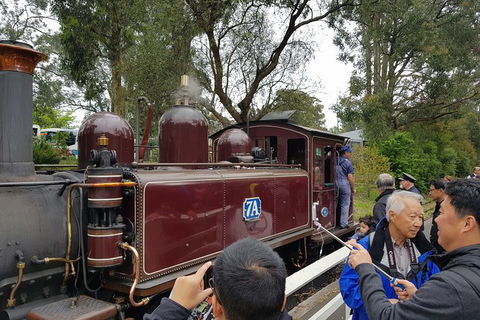 Day Tour Of Yarra Valley Puffing Billy And Rayners Orchard - Accommodation Newcastle 28