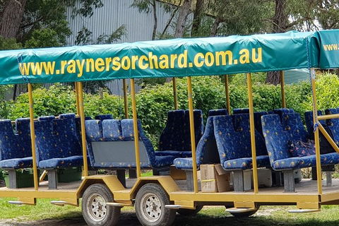 Day Tour Of Yarra Valley Puffing Billy And Rayners Orchard - Accommodation Newcastle 33