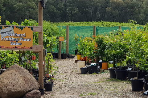Day Tour Of Yarra Valley Puffing Billy And Rayners Orchard - Accommodation Newcastle 22