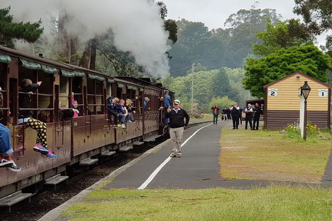 Day Tour Of Yarra Valley Puffing Billy And Rayners Orchard - Accommodation Newcastle 0