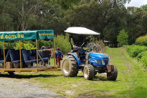 Day Tour Of Yarra Valley Puffing Billy And Rayners Orchard - Accommodation Newcastle 25