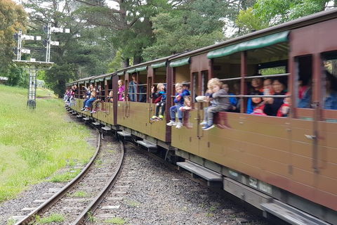 Day Tour Of Yarra Valley Puffing Billy And Rayners Orchard - Accommodation Newcastle 24