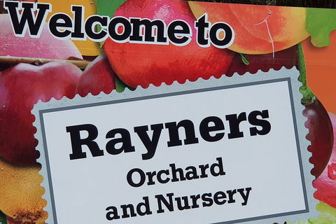 Day Tour Of Yarra Valley Puffing Billy And Rayners Orchard - Accommodation Newcastle 20