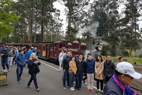 Day Tour Of Yarra Valley Puffing Billy And Rayners Orchard - Accommodation Newcastle 9