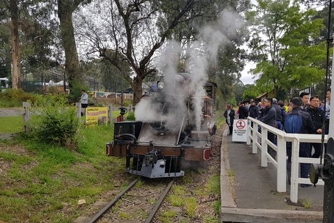 Day Tour Of Yarra Valley Puffing Billy And Rayners Orchard - Accommodation Newcastle 43