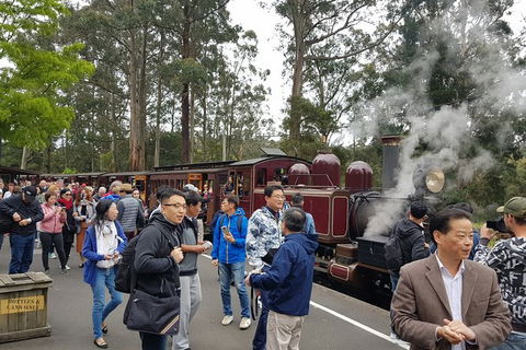 Day Tour Of Yarra Valley Puffing Billy And Rayners Orchard - Accommodation Newcastle 12