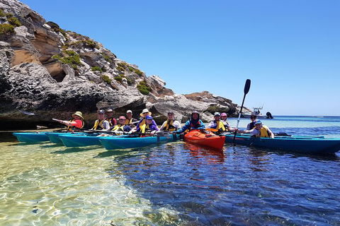 Rottnest Glass Bottom Kayaking Tour - Accommodation Newcastle 0