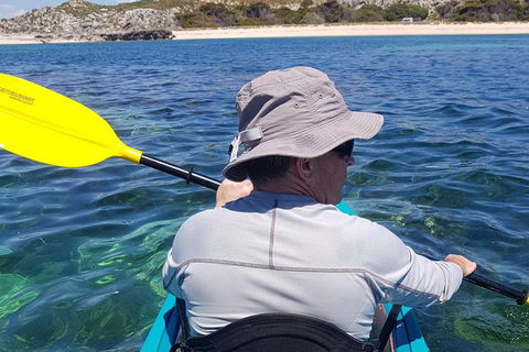 Rottnest Glass Bottom Kayaking Tour - Accommodation Newcastle 1