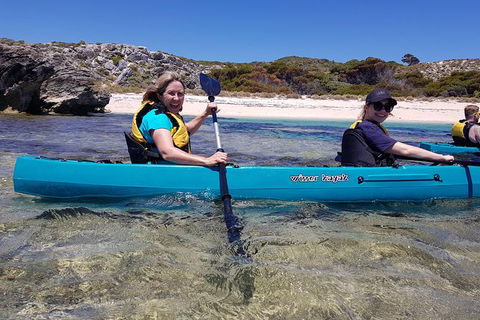 Rottnest Glass Bottom Kayaking Tour - Accommodation Newcastle 2